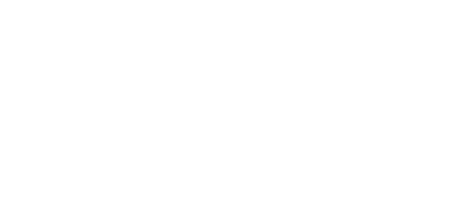 VLD-SITE-LOGO2